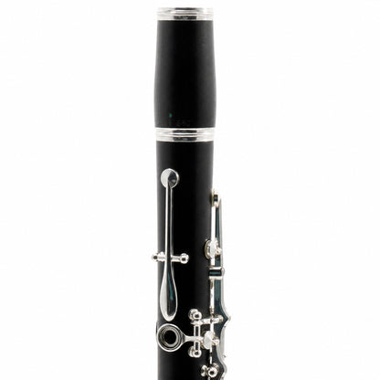 Buffet Crampon R13 'Greenline' Professional Bb Clarinet