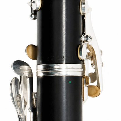 Buffet Crampon R13 'Greenline' Professional Bb Clarinet