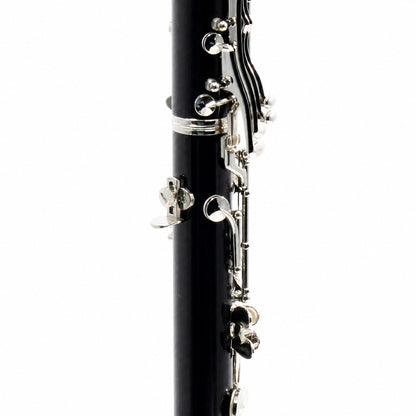 Buffet Crampon R13 Professional Bb Clarinet in Grenadilla