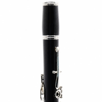 Buffet Crampon R13 Professional Bb Clarinet in Grenadilla