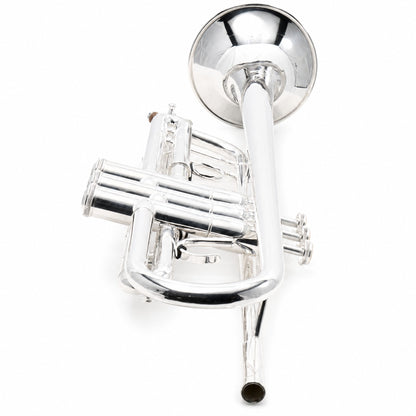 Eastman ETR824S Professional Bb Trumpet in Silver Plate
