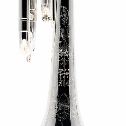 Eastman ETR824RS Professional Bb Trumpet in Silver Plate