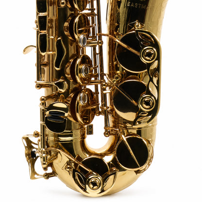 Eastman EAS850 'Rue Saint-Georges' Professional Alto Saxophone in Lacquer