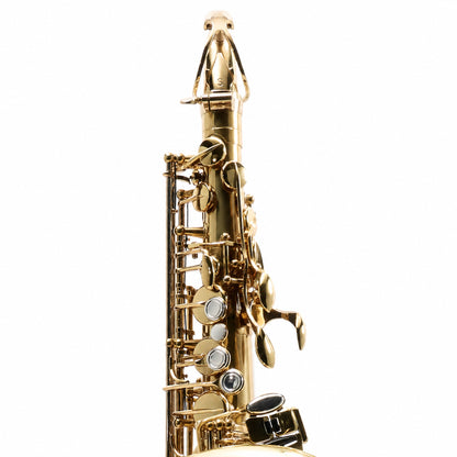 Eastman EAS850 'Rue Saint-Georges' Professional Alto Saxophone in Lacquer