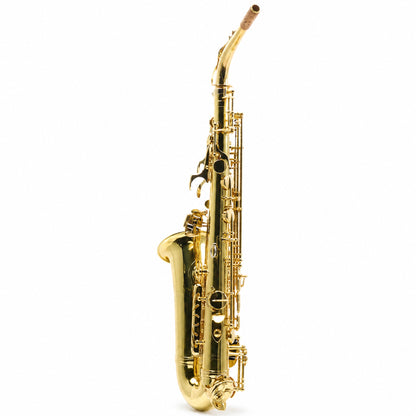 Eastman EAS650 'Rue Saint-Georges' Professional Alto Saxophone in Lacquer