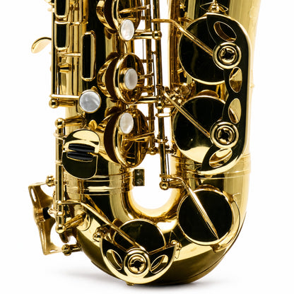 Eastman EAS650 'Rue Saint-Georges' Professional Alto Saxophone in Lacquer