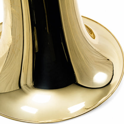 Eastman EBB534 Professional BBb Tuba in Clear Lacquer