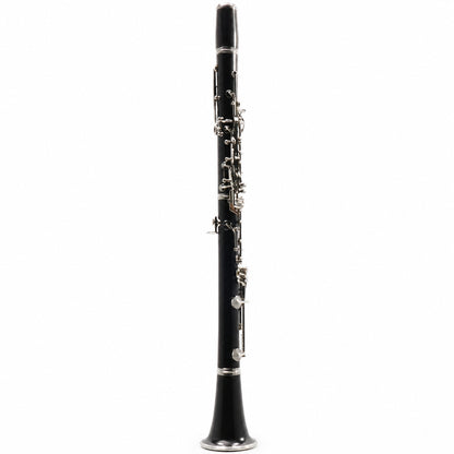 Buffet Crampon R13 Professional Bb Clarinet