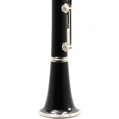 Buffet Crampon R13 Professional Bb Clarinet