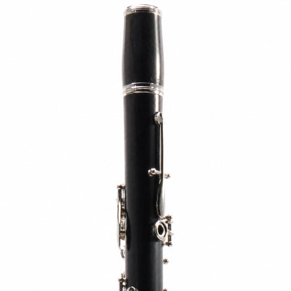 Buffet Crampon R13 Professional Bb Clarinet