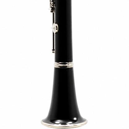 Buffet Crampon R13 Professional Bb Clarinet