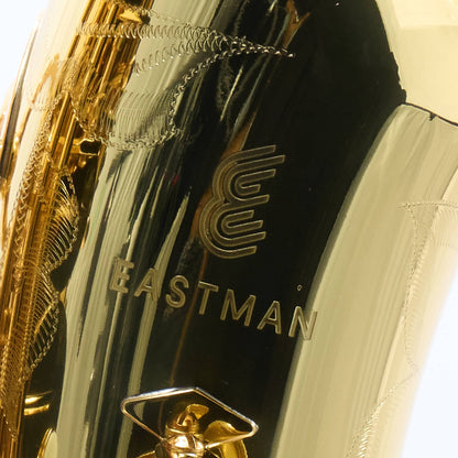 Eastman EAS451 Intermediate Eb Alto Saxophone in Gold Lacquer