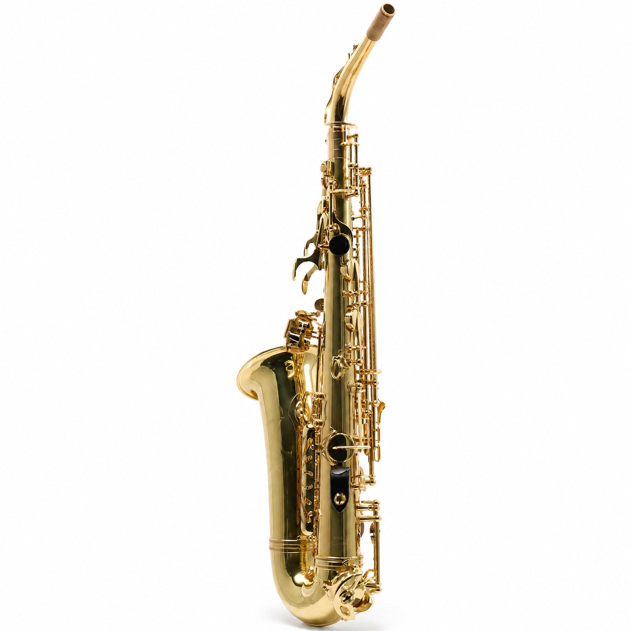 Eastman EAS451 Intermediate Eb Alto Saxophone in Gold Lacquer