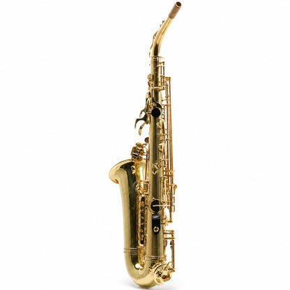 Eastman EAS451 Intermediate Eb Alto Saxophone in Gold Lacquer