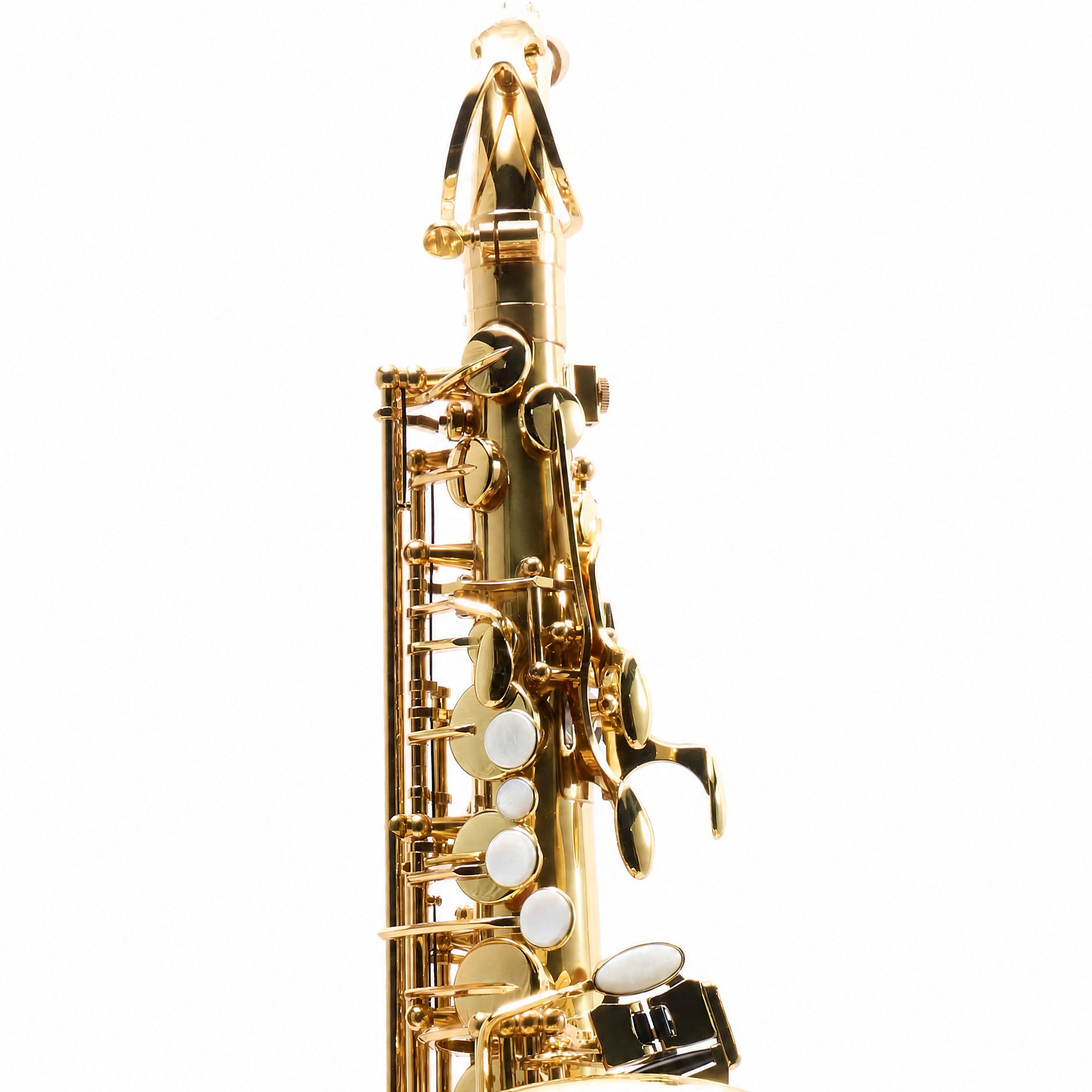 Eastman EAS451 Intermediate Eb Alto Saxophone in Gold Lacquer