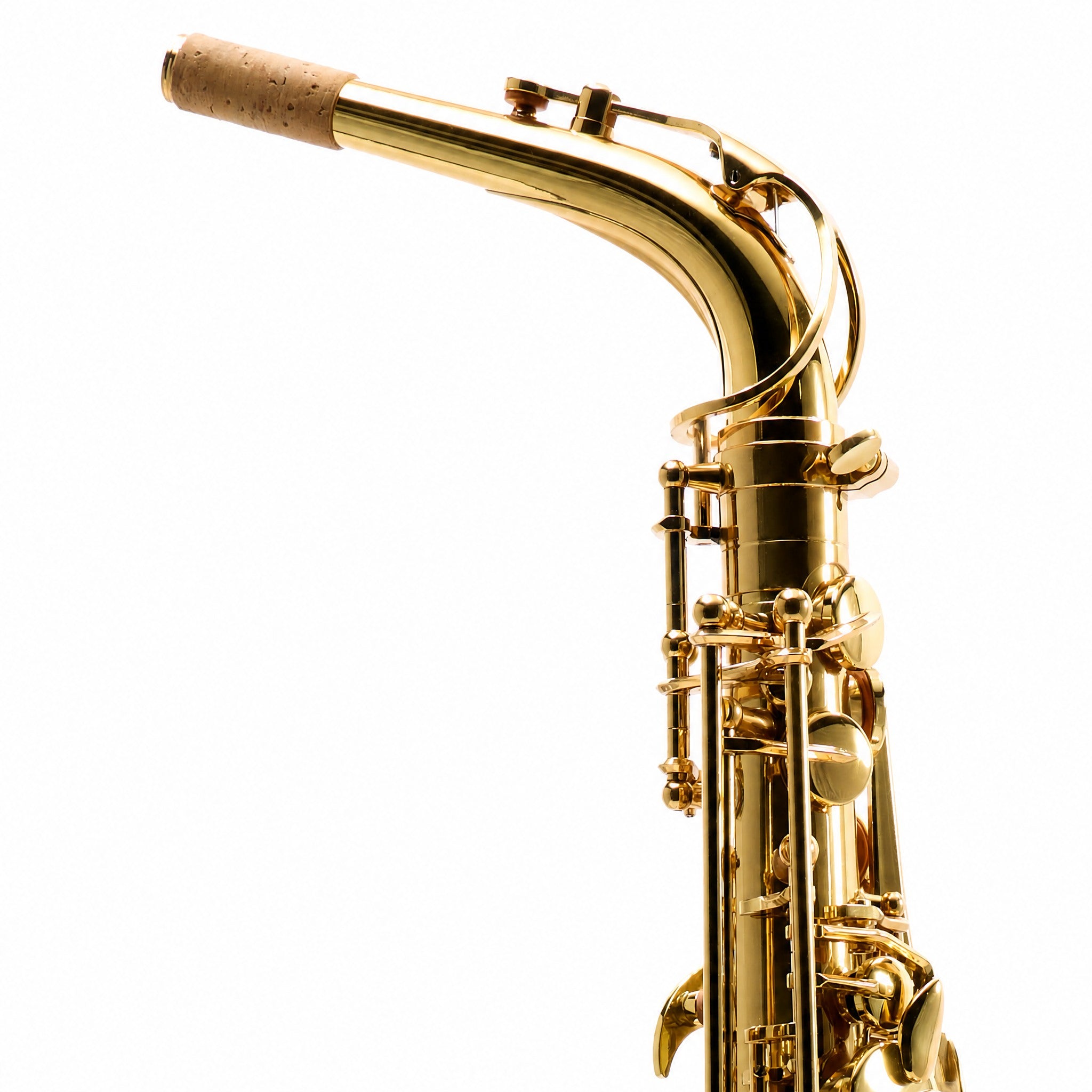 Eastman EAS451 Intermediate Eb Alto Saxophone in Gold Lacquer