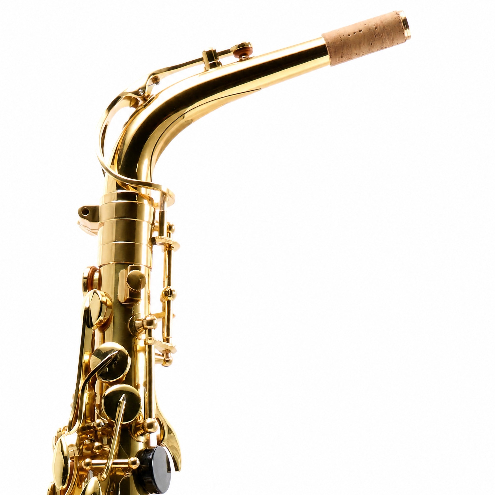 Eastman EAS451 Intermediate Eb Alto Saxophone in Gold Lacquer