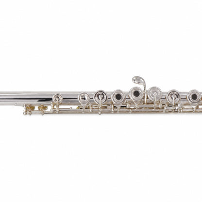 Verne Q. Powell PS-905 Sonaré Concert Flute with Aurumite 9K Lip Plate