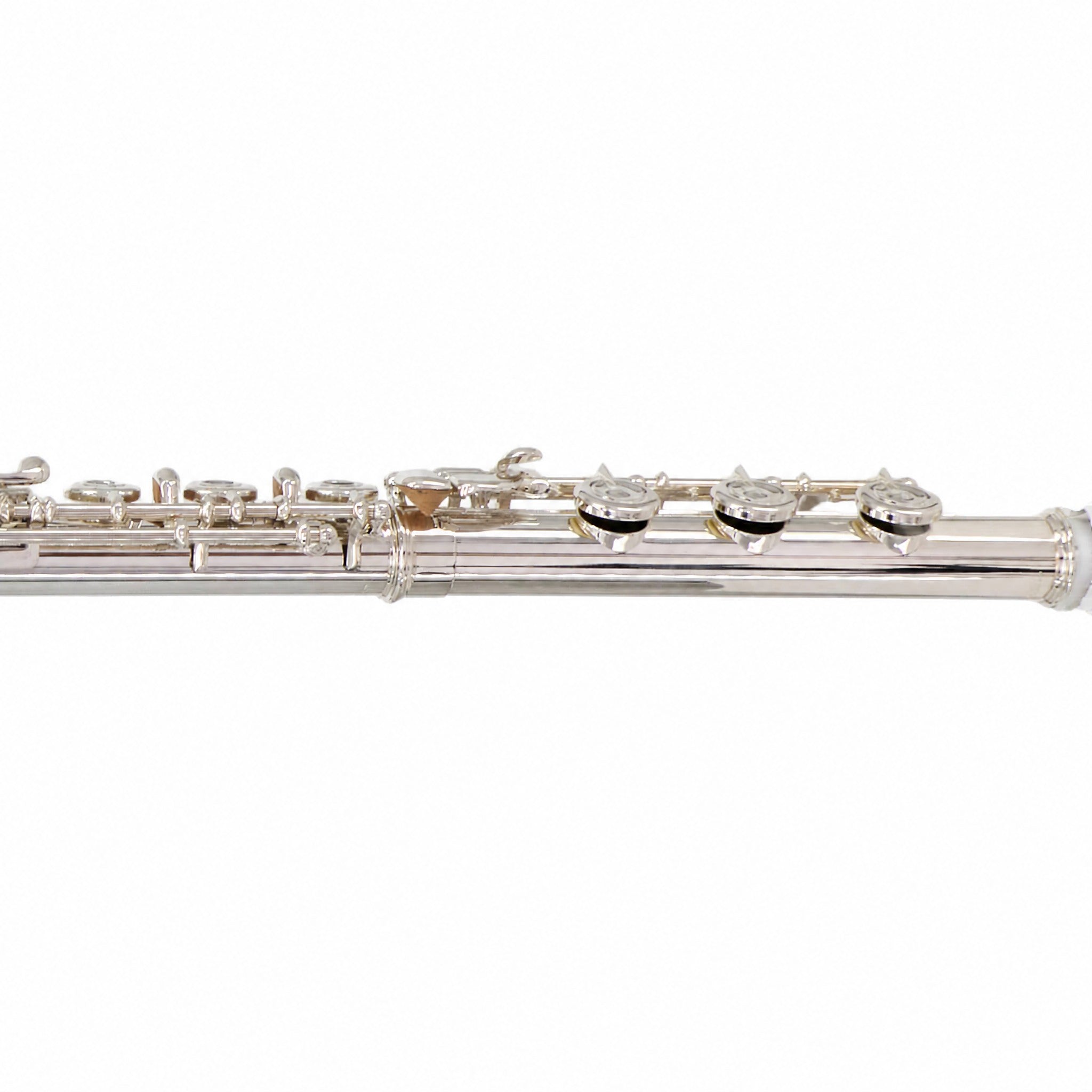 Verne Q. Powell PS-905 Sonaré Concert Flute with Aurumite 9K Lip Plate