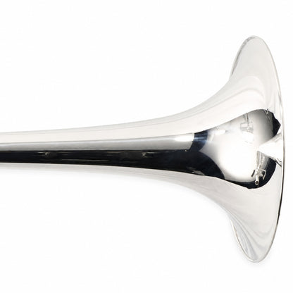 Eastman ETB428GS Intermediate Bb/F Tenor Trombone in Silver Plate