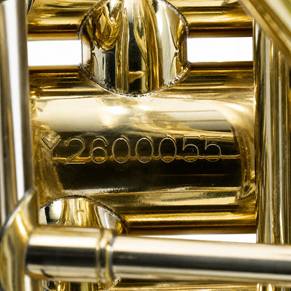 Eastman EBB534 Professional BBb 4/4 Tuba in Clear Lacquer