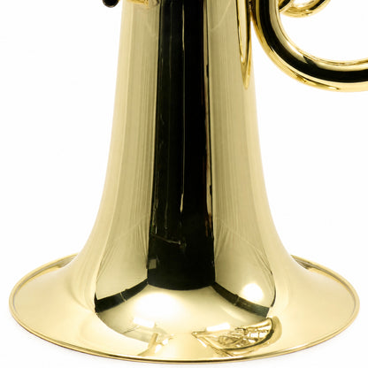 Eastman EBF863 Professional 4/4 F Tuba in Clear Lacquer