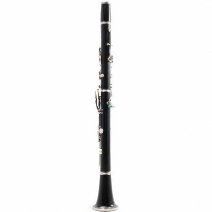Buffet Crampon R13 Professional Bb Clarinet