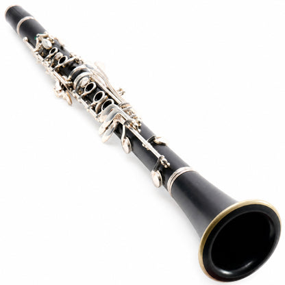 Buffet Crampon R13 Professional Bb Clarinet