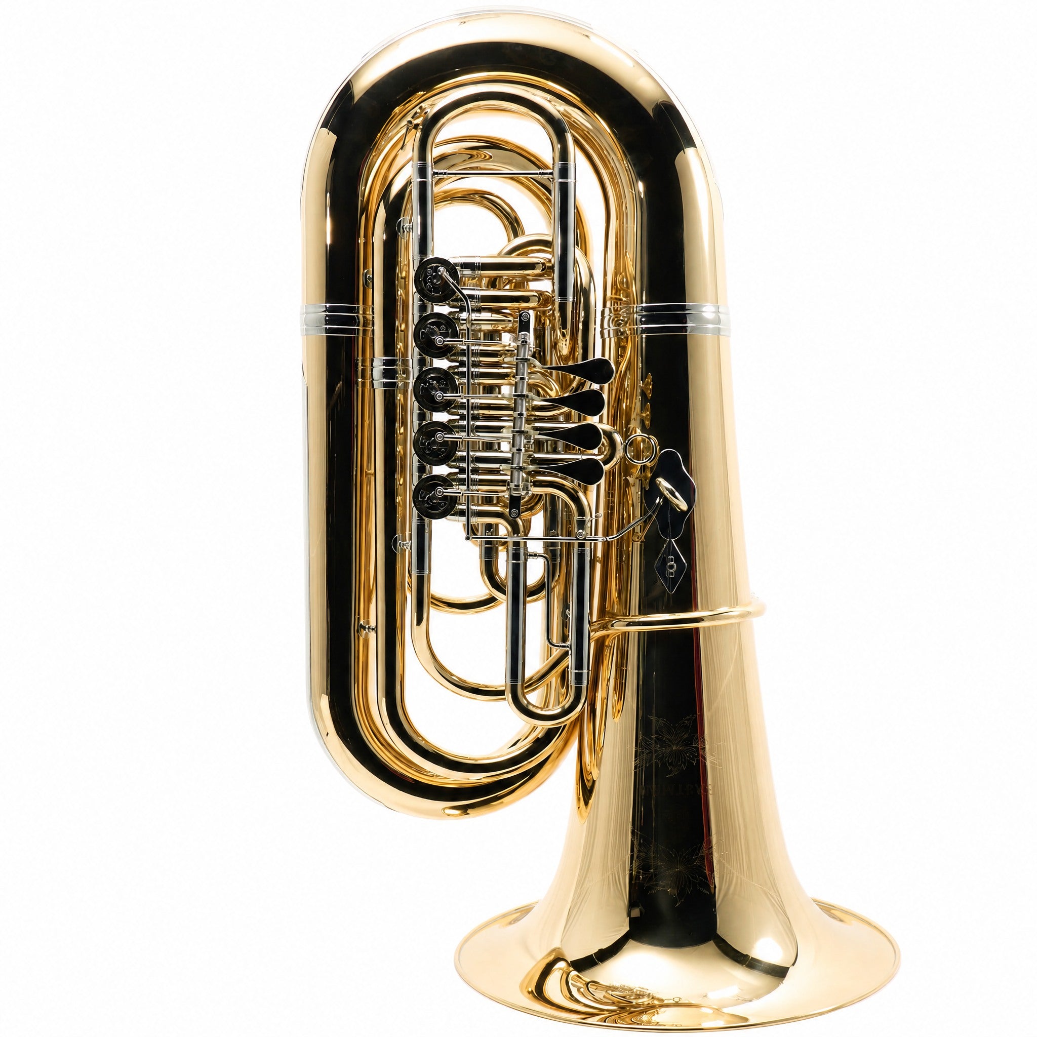 Eastman EBB825VG Professional 5/4 BBb Tuba in Lacquered Gold Brass