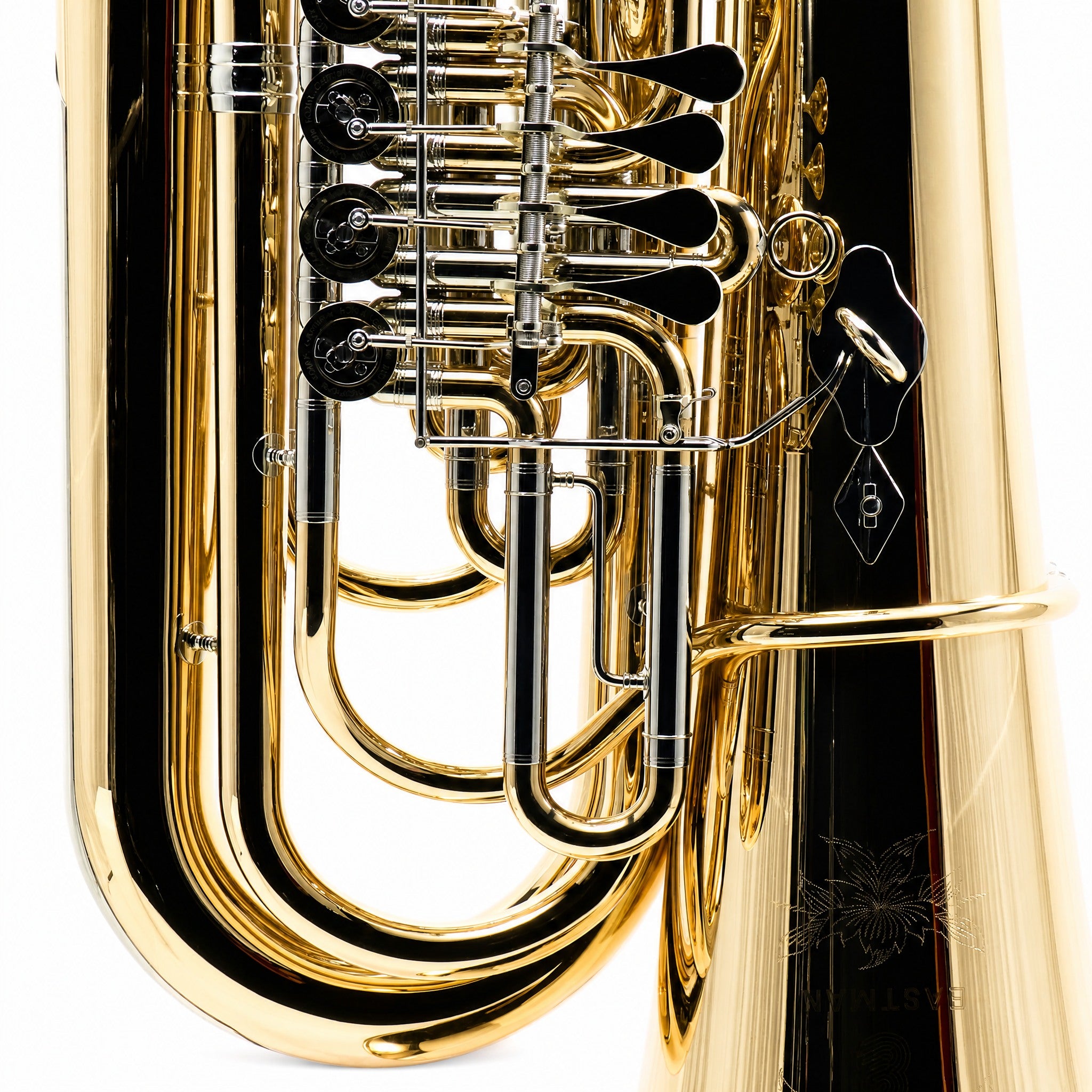 Eastman EBB825VG Professional 5/4 BBb Tuba in Lacquered Gold Brass