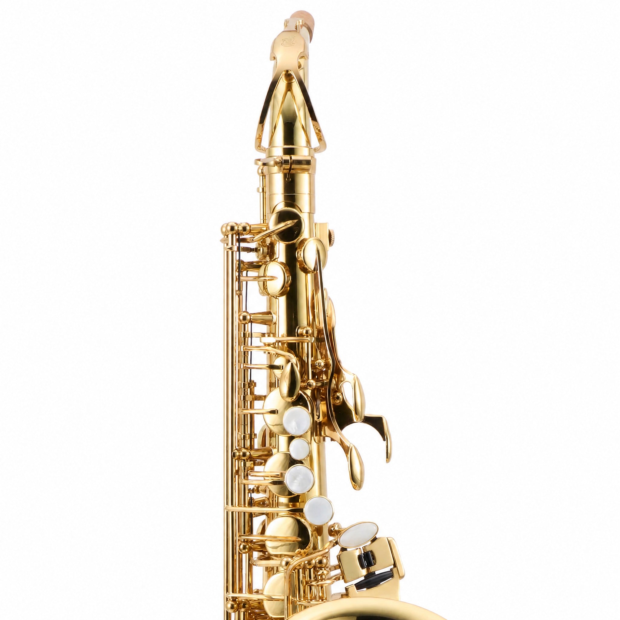 Eastman EAS451 Intermediate Eb Alto Saxophone in Gold Lacquer SN A2303624