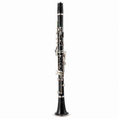 Buffet Crampon Greenline R13 Professional Bb Clarinet