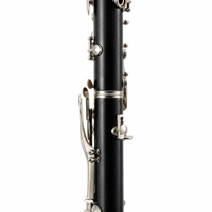 Buffet Crampon Greenline R13 Professional Bb Clarinet