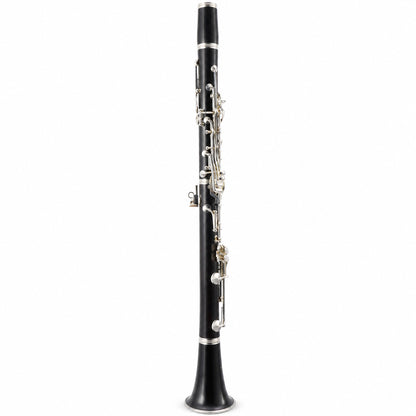 Yamaha YCL-CSVR Custom Professional Bb Clarinet in Grenadilla SN 09759
