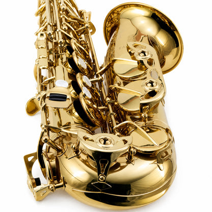 Eastman EAS850 'Rue Saint-Georges' Professional Alto Saxophone in Lacquer