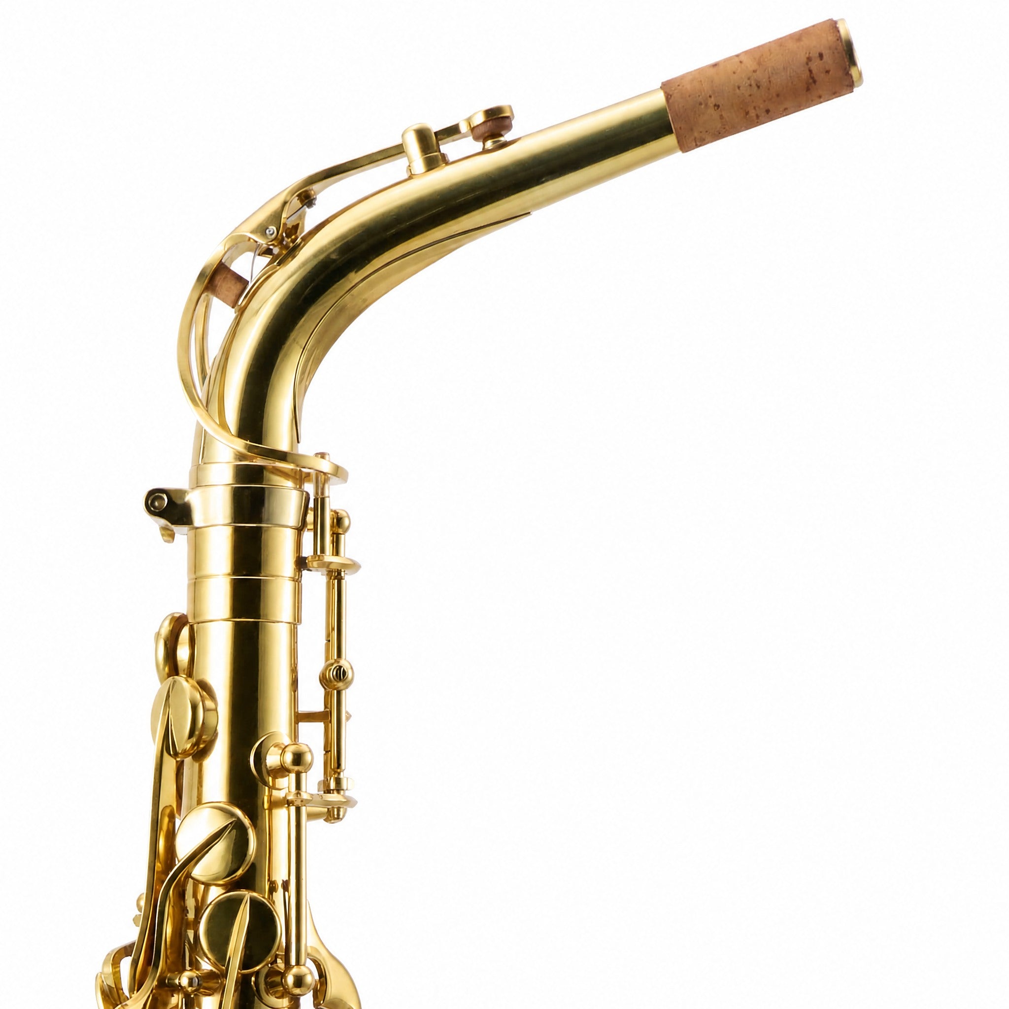 Eastman EAS850 'Rue Saint-Georges' Professional Alto Saxophone in Lacquer