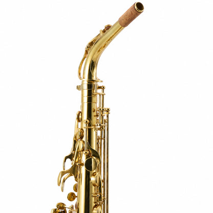 Eastman EAS850 'Rue Saint-Georges' Professional Alto Saxophone in Lacquer
