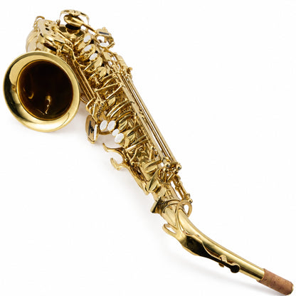 Eastman EAS850 'Rue Saint-Georges' Professional Alto Saxophone in Lacquer