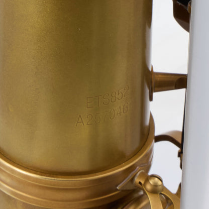 Eastman ETS852 '52nd Street' Professional Tenor Saxophone