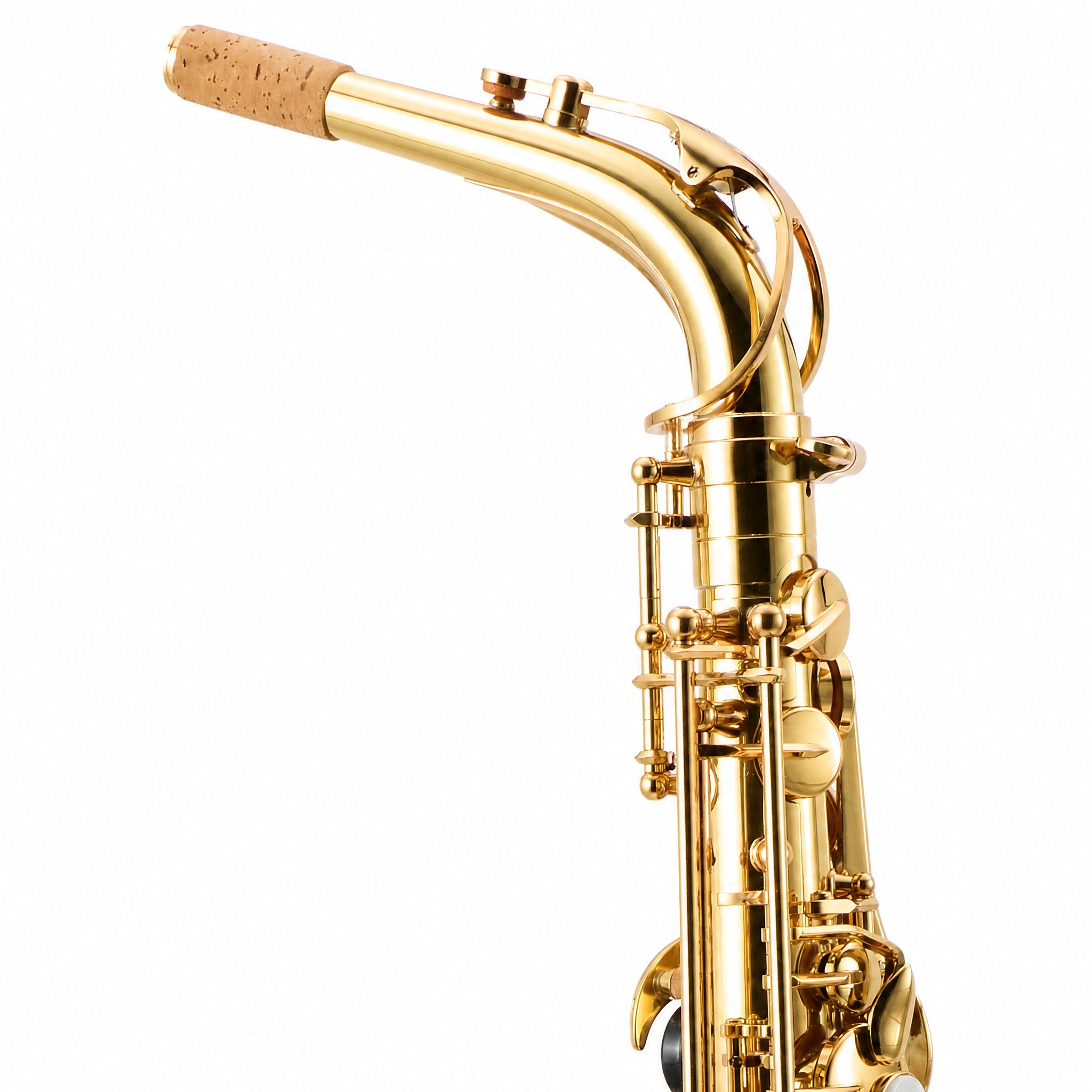Eastman EAS451 Intermediate Eb Alto Saxophone in Gold Lacquer