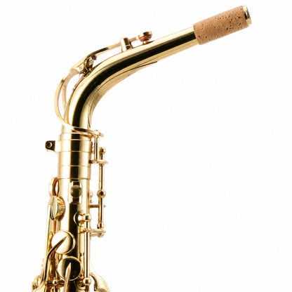 Eastman EAS451 Intermediate Eb Alto Saxophone in Gold Lacquer