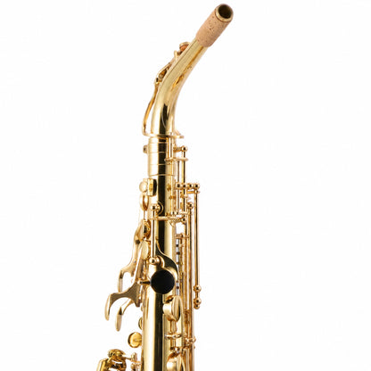 Eastman EAS451 Intermediate Eb Alto Saxophone in Gold Lacquer