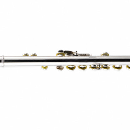 Selmer SFL301 Student Closed-Hole Concert Flute in Silver Plate