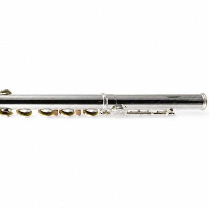 Selmer SFL301 Student Closed-Hole Concert Flute in Silver Plate