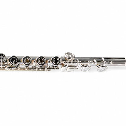William S. Haynes AF482-CO 'Amadeus' Student Concert Flute in Silver Plate