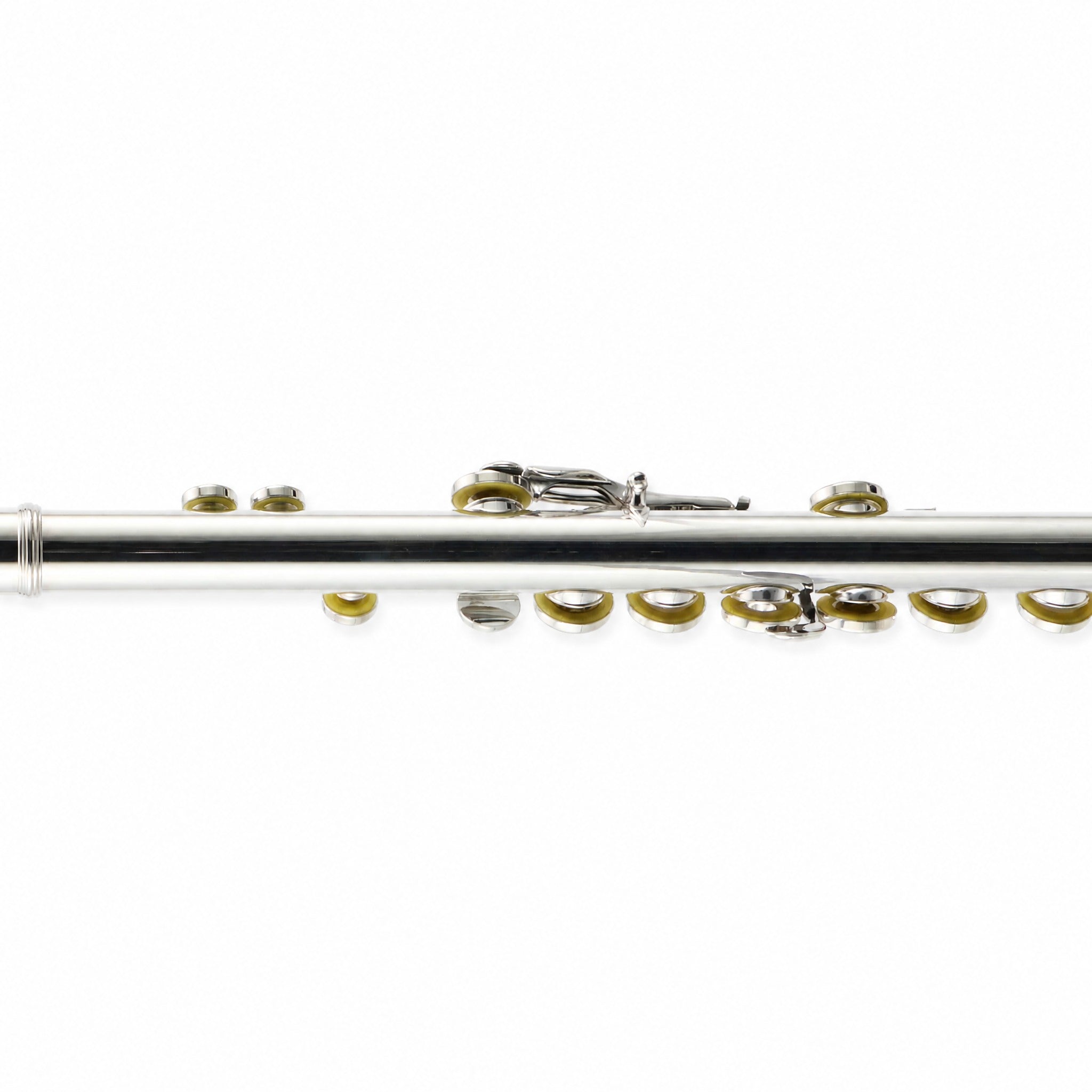 William S. Haynes AF482-CO 'Amadeus' Student Concert Flute in Silver Plate