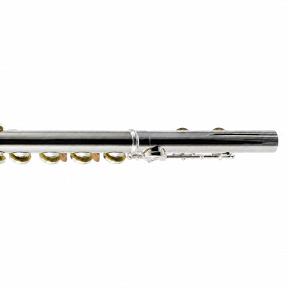 William S. Haynes AF482-CO 'Amadeus' Student Concert Flute in Silver Plate