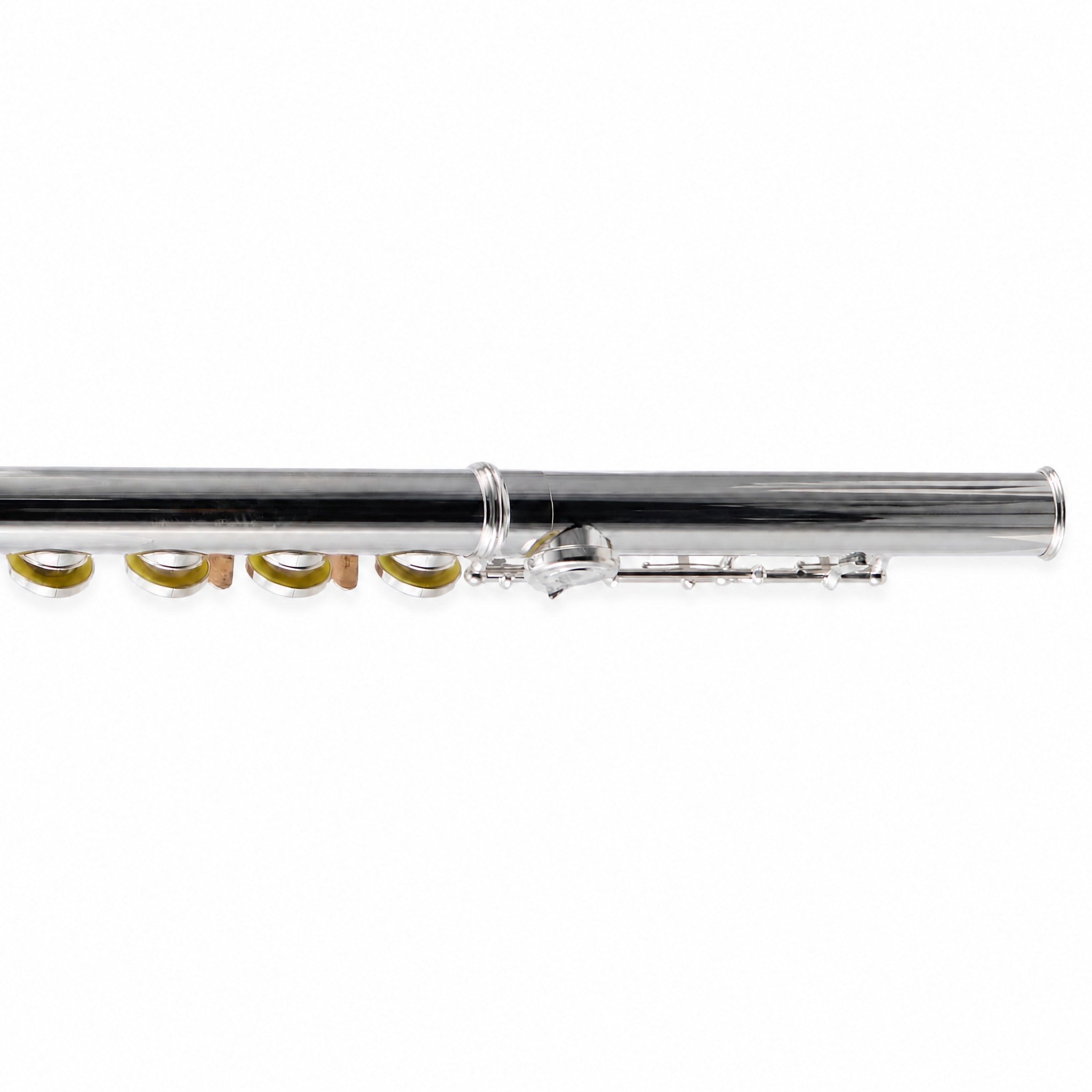 William S. Haynes AF482-CO 'Amadeus' Student Concert Flute in Silver Plate