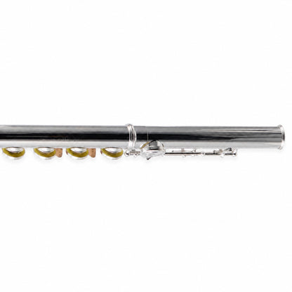 William S. Haynes AF482-CO 'Amadeus' Student Concert Flute in Silver Plate