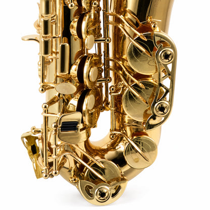 Buffet Crampon 400 Series Professional Alto Saxophone in Gold Lacquer